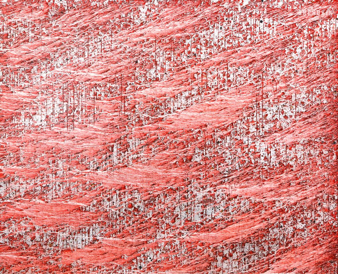 Chae Sung-Pil. Nameless land Red I